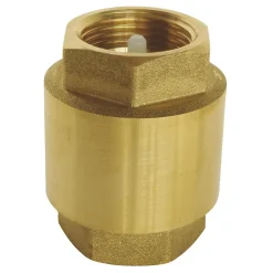 Somatherm for you Joint Clapet|Joint Et Clapet-Clapet antiretour toutes positions universel F26x34