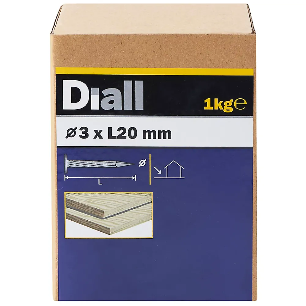 Diall Clou À Tête Plate-Clous à bardeau ASK NG galvanisés 3x20 - 1kg