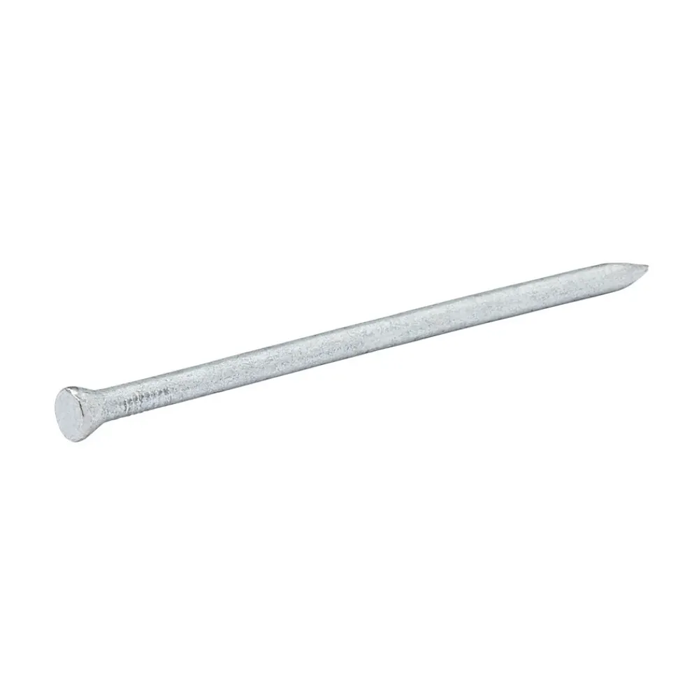 Diall Clous de maçon en acier galvanisé 4,6x100 - 125g