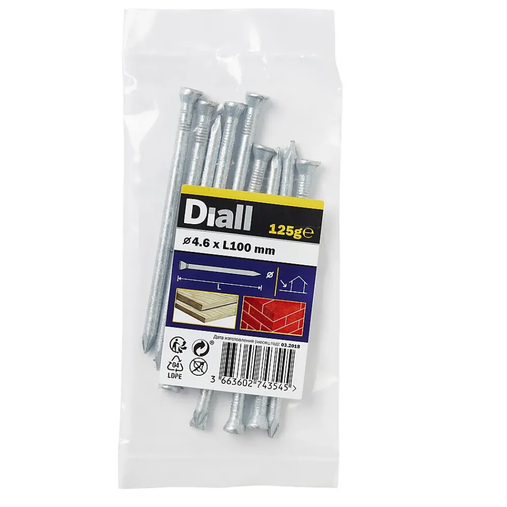 Diall Clous de maçon en acier galvanisé 4,6x100 - 125g