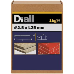 Diall Clous de maçon en acier galvanisé 5x25 - 1kg