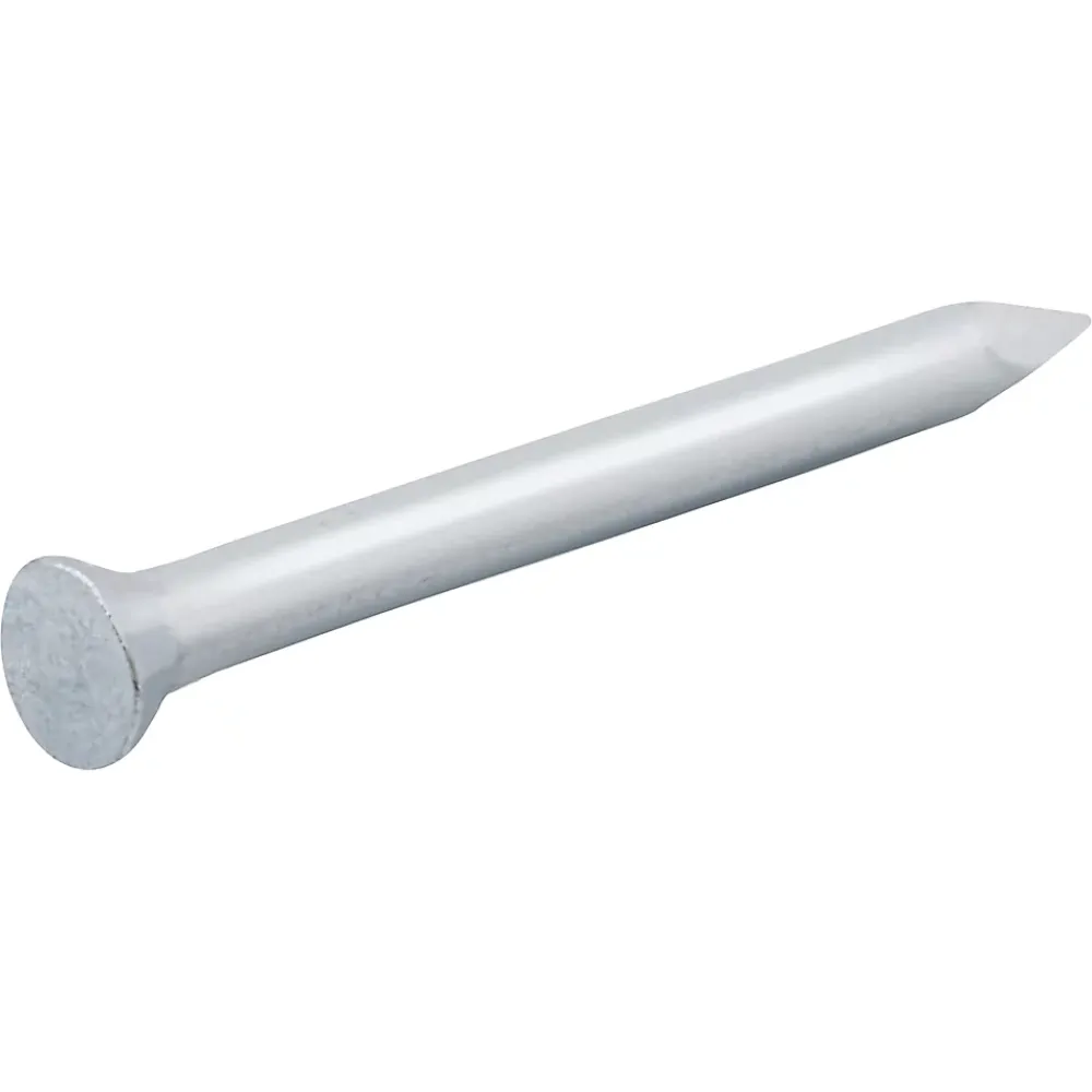 Diall Clous de maçon en acier galvanisé 5x25 - 1kg