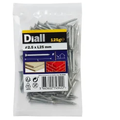 Diall Clous de maçon en acier galvanisé ∅2,5 x25mm - 125g