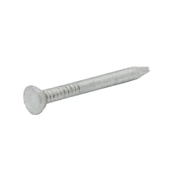 Diall Clous de maçon en acier galvanisé ∅2,5 x25mm - 125g