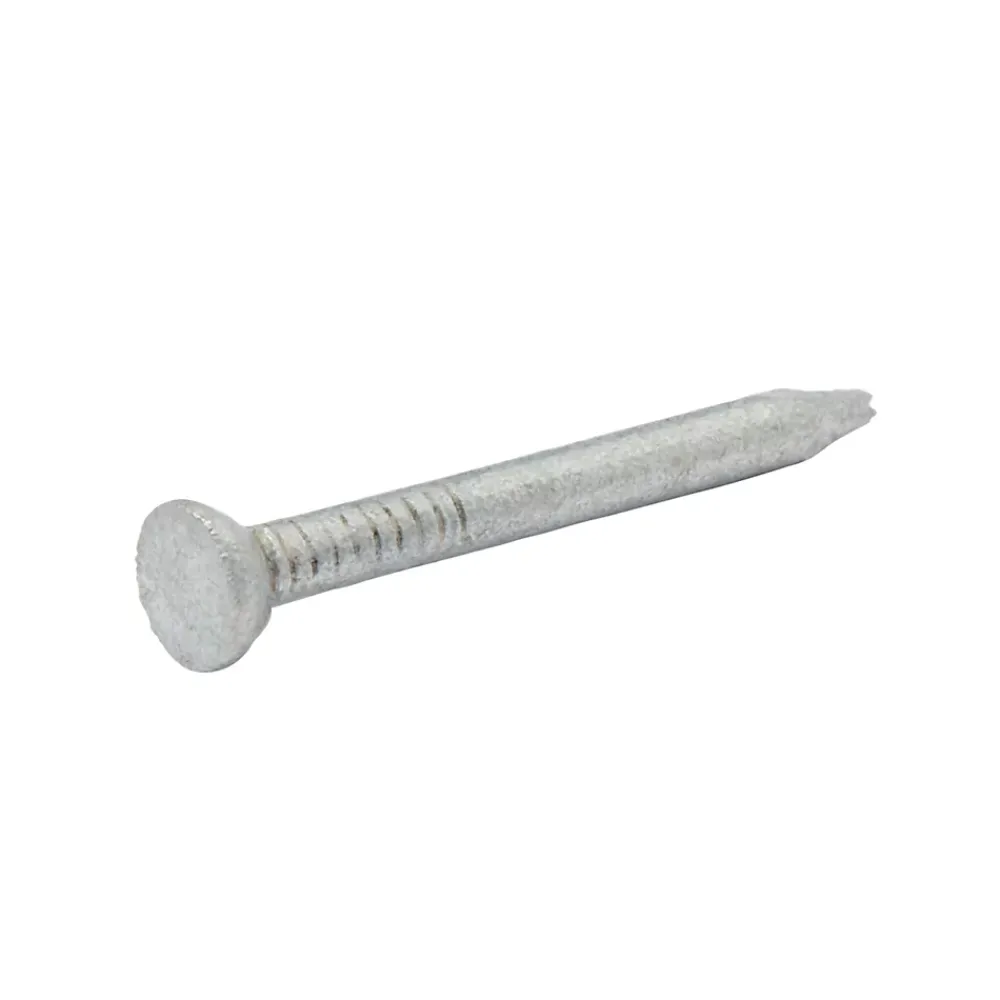 Diall Clous de maçon en acier galvanisé ∅2,5 x25mm - 125g