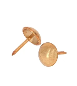Secodir Clou Tapissier-Clous Ronds d'Ameublement Décoratifs - Lot de 150
