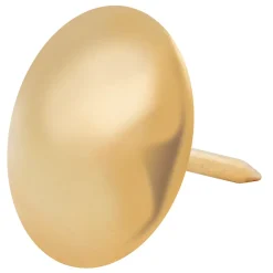 Diall Clous tapissiers en acier plaqués en laiton 18 x 23 mm - 50 pièces