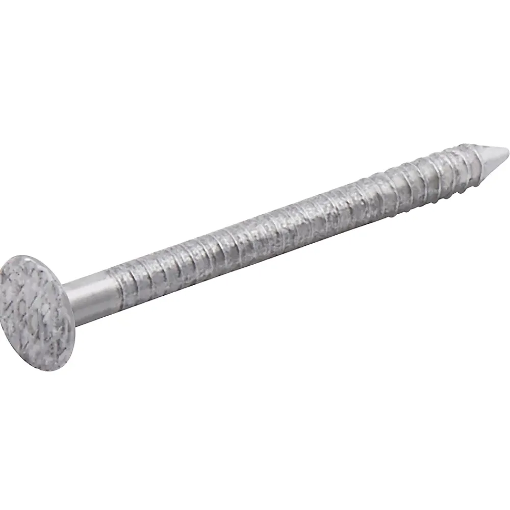 Diall Clou À Tête Plate-Clous à tige annelée 2x25 mm - boîte de 1kg