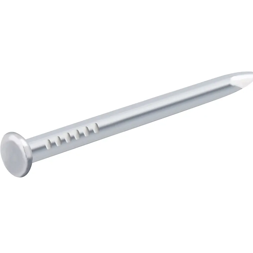 Diall Clous à tête bombée en acier zingués 1,3x14 - 125g