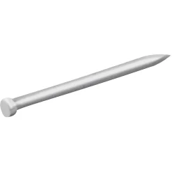 Homme Diall Clous à tête d'homme ronde en acier galvanisé 1,6x30 - 5kg