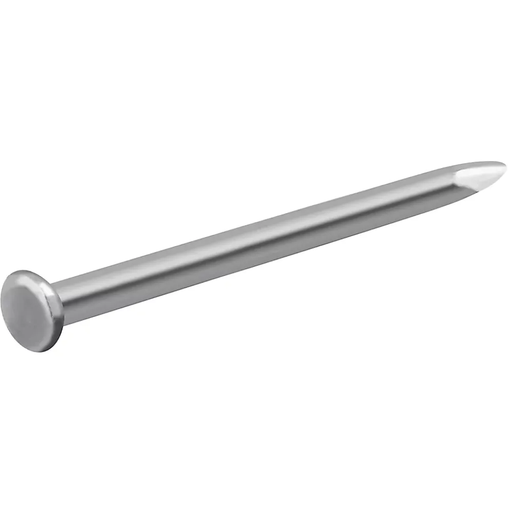 Diall Clou À Tête Plate-Clous à tête plate en acier galvanisés 2,2x40 - 125g