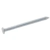 Diall Clou À Tête Plate-Clous à tête plate en acier galvanisé 3x40 - 125g