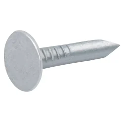 Diall Clou À Tête Plate-Clous à tête plate en acier galvanisé 4,5x100 - 1kg