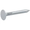 Diall Clou À Tête Plate-Clous à tête plate en acier galvanisé 3x20 - 2kg