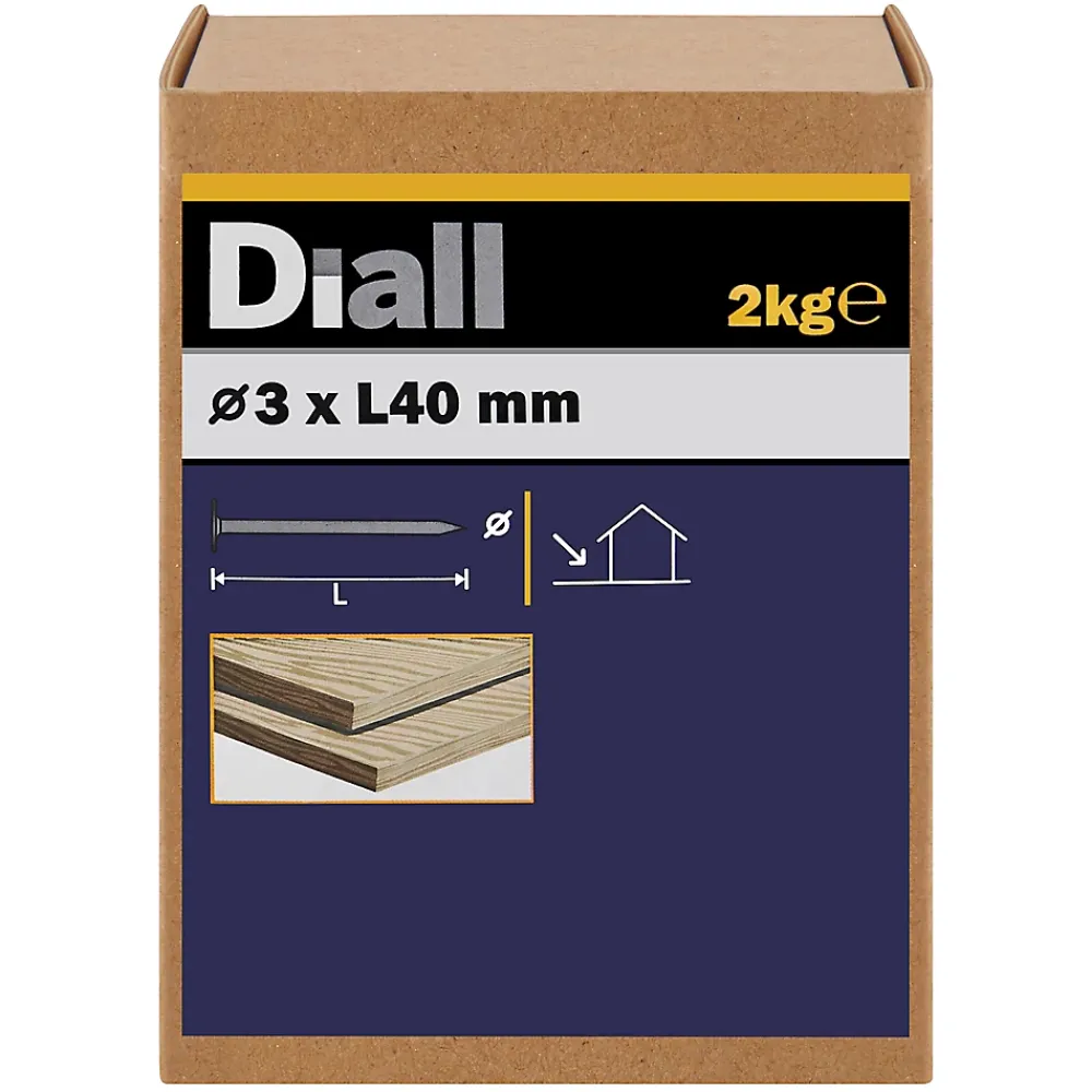 Diall Clous à tête plate en acier galvanisé 3x40 - 2kg
