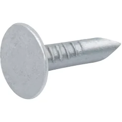 Diall Clous à tête plate en acier galvanisé 3x12 - 2kg