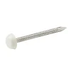 Diall Clou À Tête Ronde-Clous UPVC en acier inoxydable A4 2x30 - 125g
