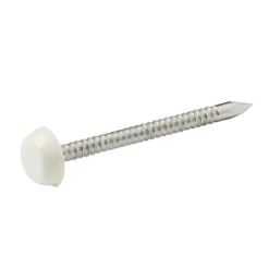 Diall Clou À Tête Ronde-Clous UPVC en acier inoxydable A4 2x30 - 125g
