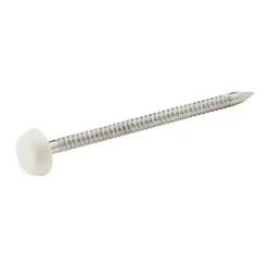 Diall Clou À Tête Ronde-Clous UPVC en acier inoxydable A4 2,65x50 - 125g