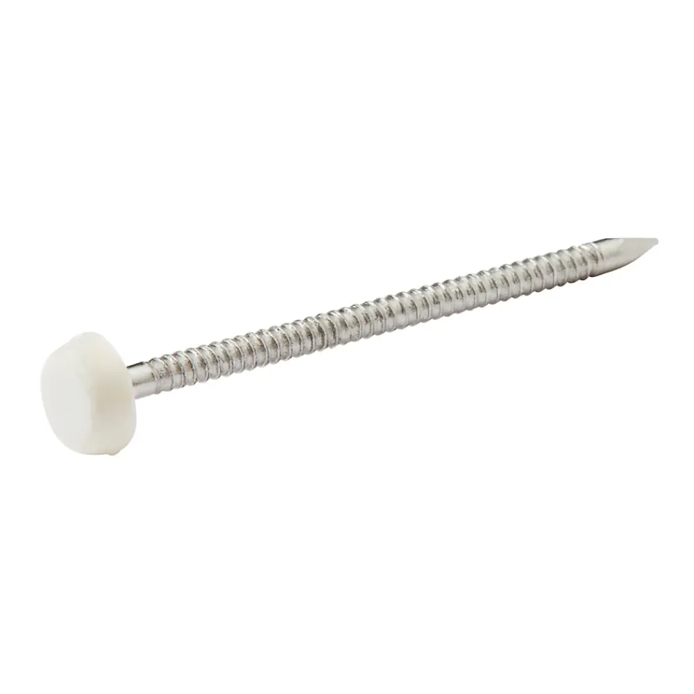 Diall Clous UPVC en acier inoxydable A4 2x40 - 125g
