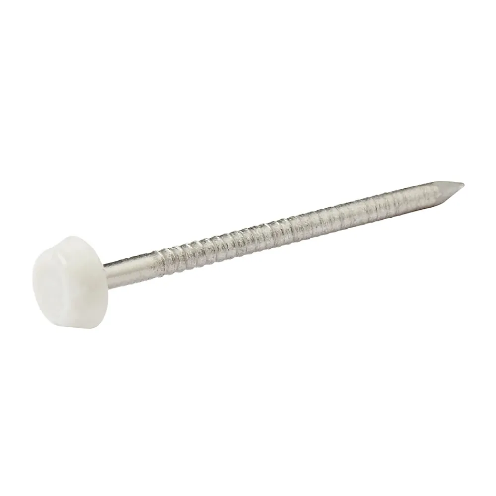 Diall Clous UPVC en acier inoxydable A4 3,35x65 - 125g