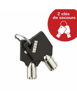 Thirard Coffre-Fort-Coffret de sécurité à poser Vincennes, fermeture électronique à code, 2 pênes, 53L -