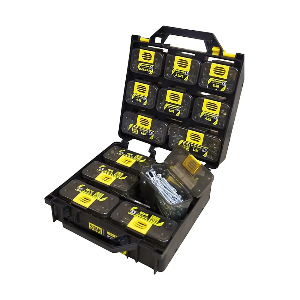 Norail Kit De Vis-Coffret Professionnel STARBLOCK 1350 Vis Bois Agglo Torx Acier Zingué pour Applications Multiples