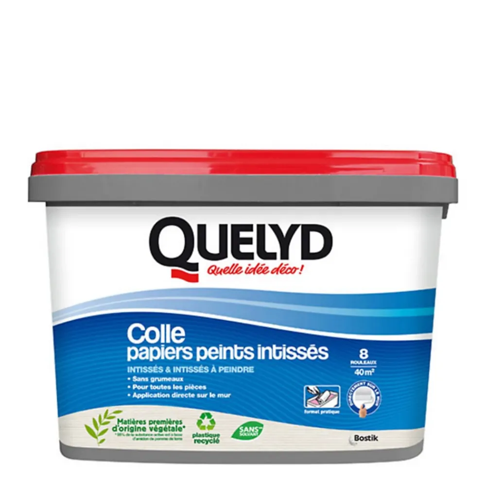 Quelyd Colle papier peint intissé pâte 5kg