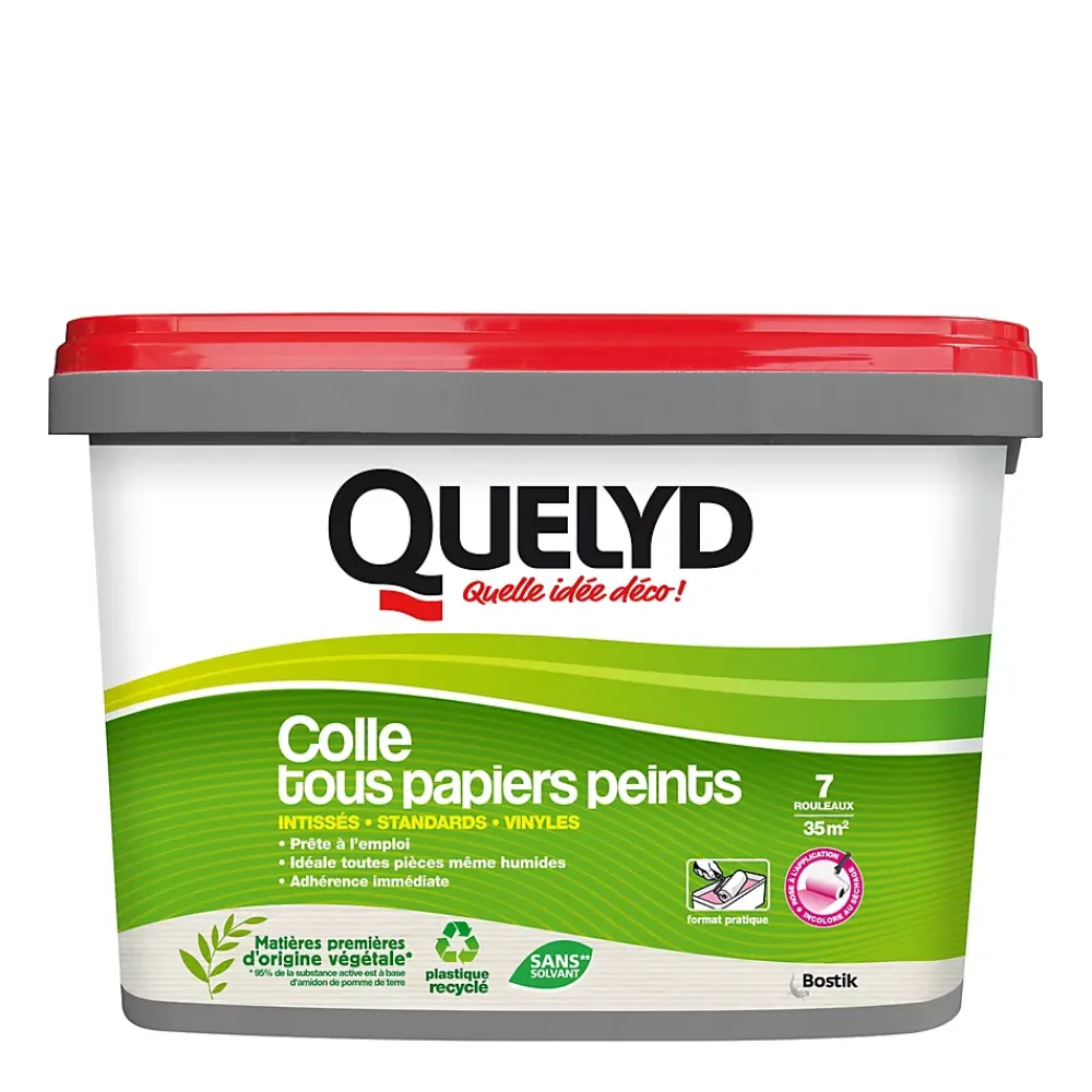 Quelyd Colle Papier Peint-Colle pour papier peint premium 5kg