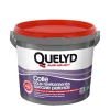 Quelyd Colle spéciale plafonds - toile de verre et revêtements de rénovation pâte 6kg