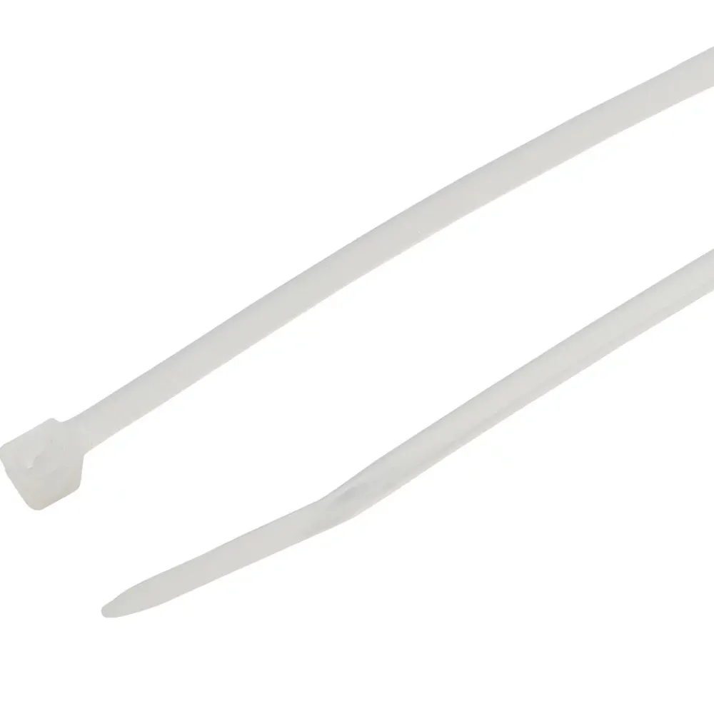 Diall 100 colliers de serrage en nylon 2,5 x 100 mm transparent