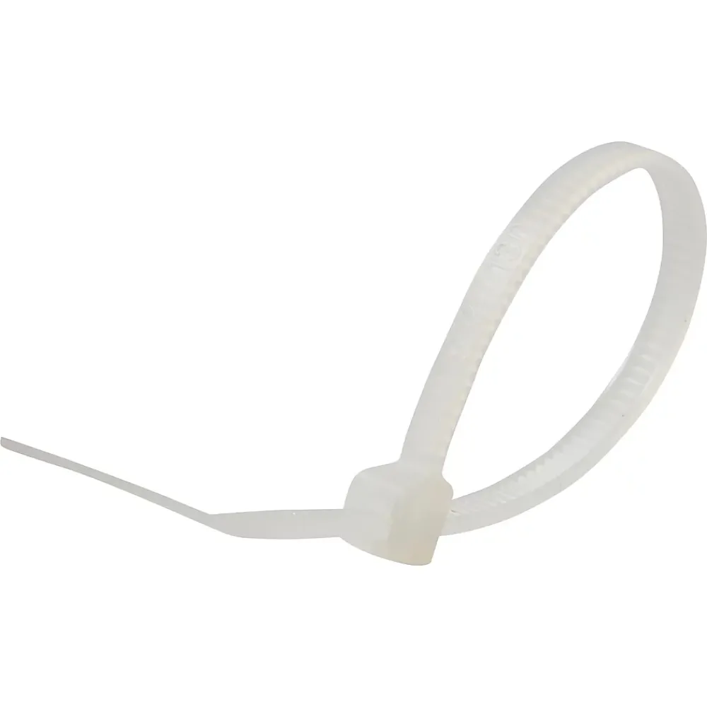 Diall 100 colliers de serrage en nylon 2,5 x 100 mm transparent