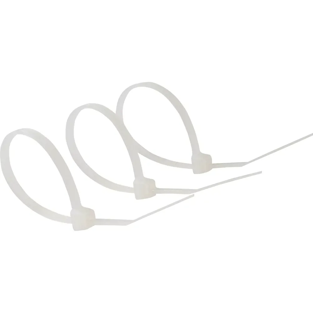 Diall 100 colliers de serrage en nylon 2,5 x 100 mm transparent