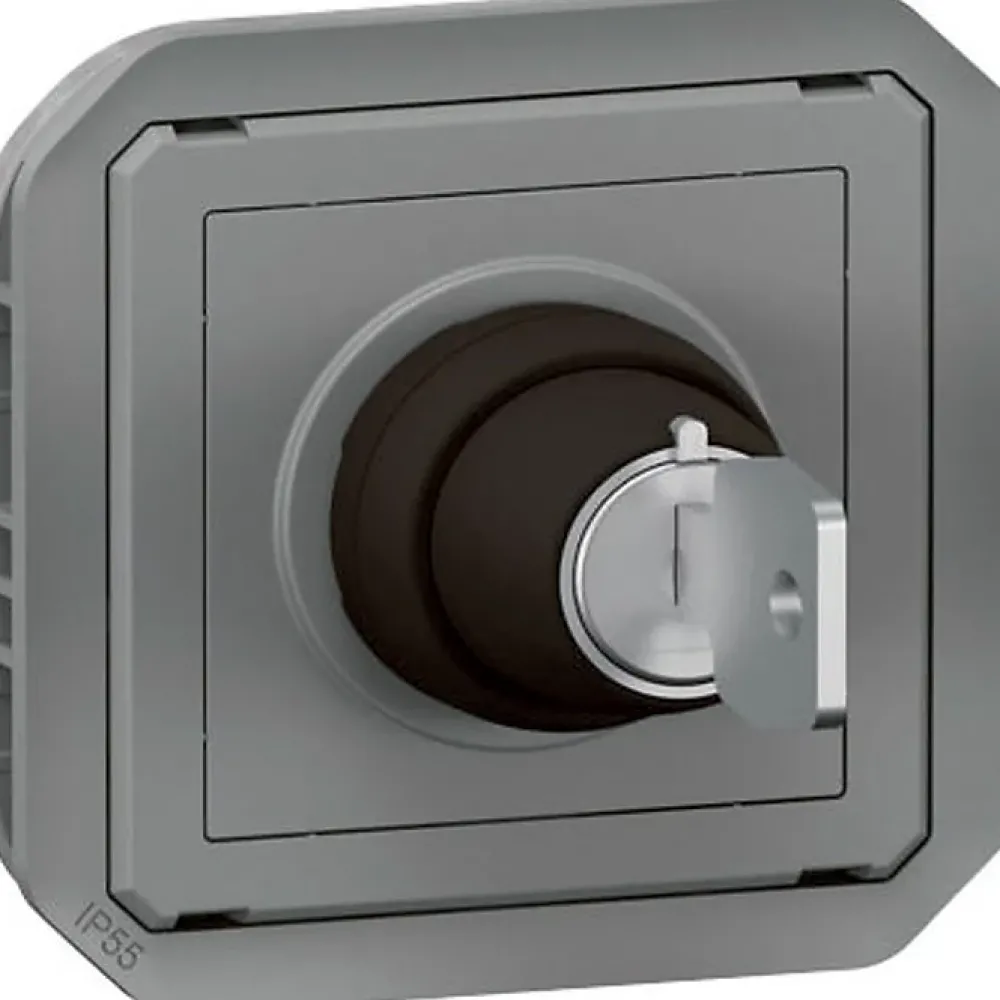 Legrand Commande à clé - Plexo -