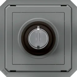Legrand Commande à clé - Plexo -