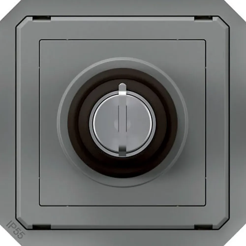 Legrand Commande à clé - Plexo -