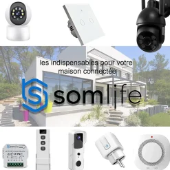 Somlife Commutateur de volet et rideau Wifi Rf Tuya Smart Life Module pour volet roulant 433 mhz