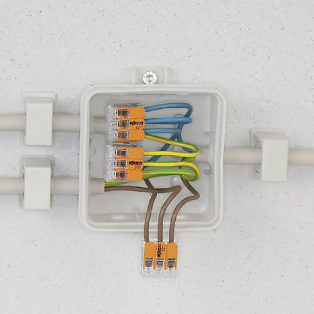 Wago Accessoire De Raccordement-100 connecteur 2 entrées pour fil souple ou rigide