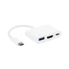 Erard Chargeur Et Câble Usb-Convertisseur USB C mâle vers USB A / HDMI A / USB C femelle