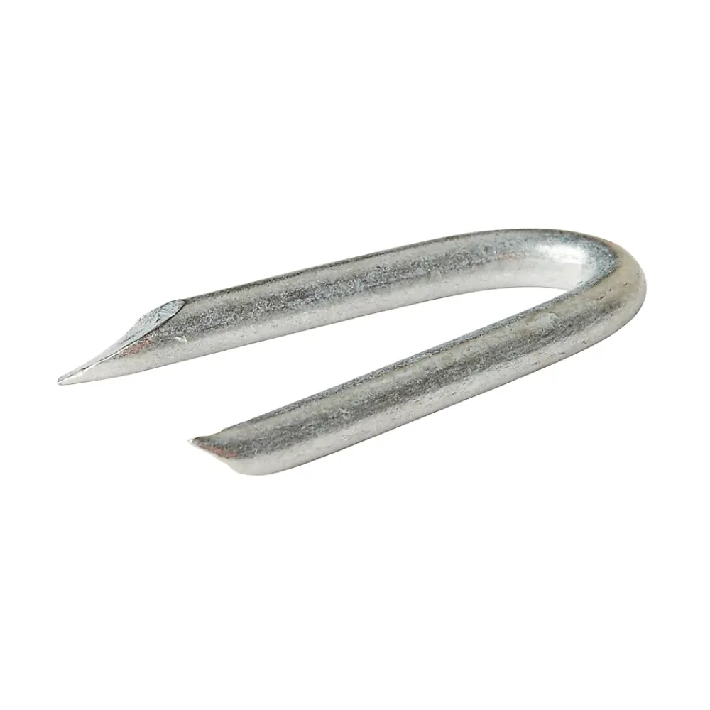 Diall Crampillon-Crampillons en acier galvanisé 2,4x20 - 1kg