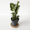 Creative Deco Corde, Fil Et Ficelle-30m Corde de Jute Epaisseur 20mm - Personnalisation Possible Tous les 5m - Corde Solide - Torsadé Fibres Naturelles