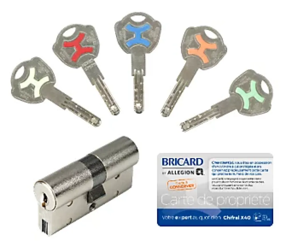 Bricard Cylindre débrayable Chifral x40 L.30x30 mm