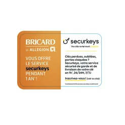 Bricard Cylindre De Serrure-Cylindre débrayable 2 entrées 40X50