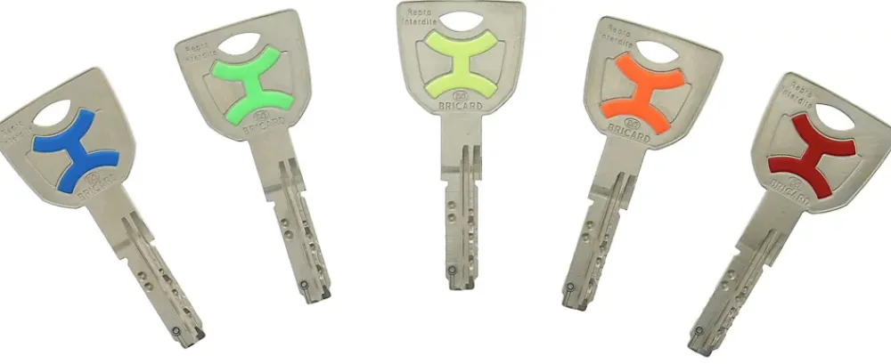 Bricard Cylindre De Serrure-Cylindre débrayable mistral 2 entrées 30x30 mm