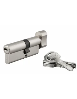 Thirard Cylindre de serrure à bouton débrayable Trafic 6, 30x40mm, anti-arrachement, anti-perçage, nickel, 5 clés longues -