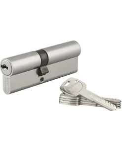 Thirard Cylindre De Serrure-Cylindre de serrure double entrée Trafic 6, 40x50mm, anti-arrachement, anti-perçage, nickel, fonction urgence 5 clés -