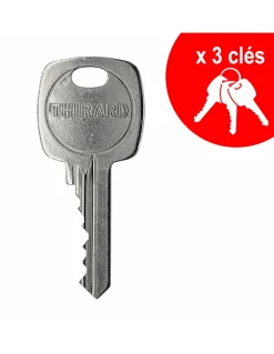 Thirard Cylindre De Serrure-Cylindre de serrure double entrée, 40x60mm, anti-arrachement, nickel, 3 clés -