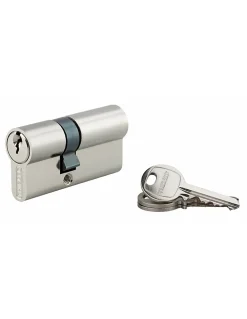 Thirard Cylindre de serrure double entrée SA, 25x40mm, anti-arrachement, nickel, 3 clés -