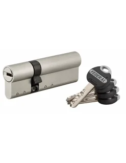 Thirard Cylindre de serrure double entrée Federal , 30x60mm, nickel, anti-arrachement, anti-perçage, 4 clés -