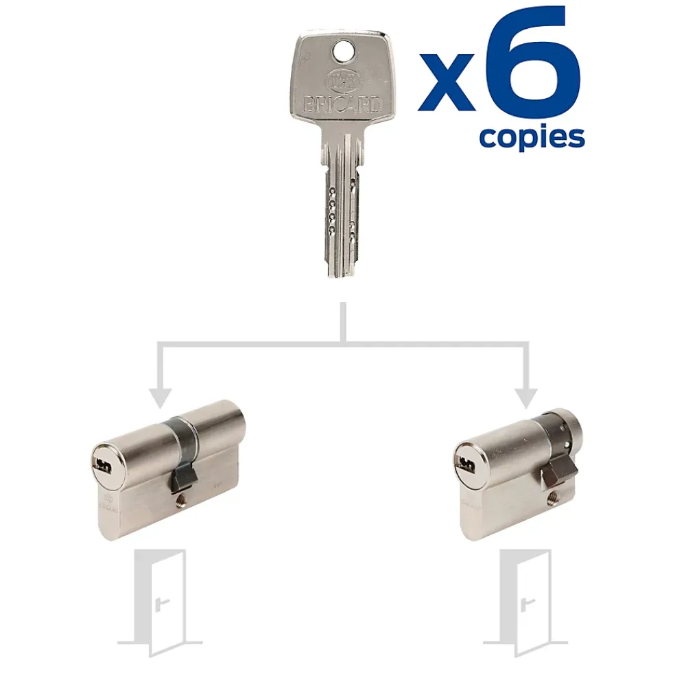 Bricard 2 Cylindres débrayables 30x30/30x10 mm avec 6 clés